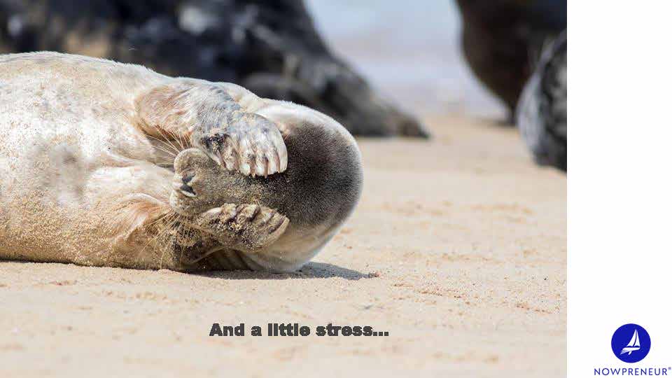 Hurricane Preparedness SCIC_c05212024_Page_04